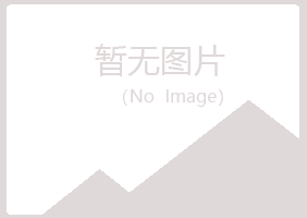 龙岩新罗夏岚会计有限公司